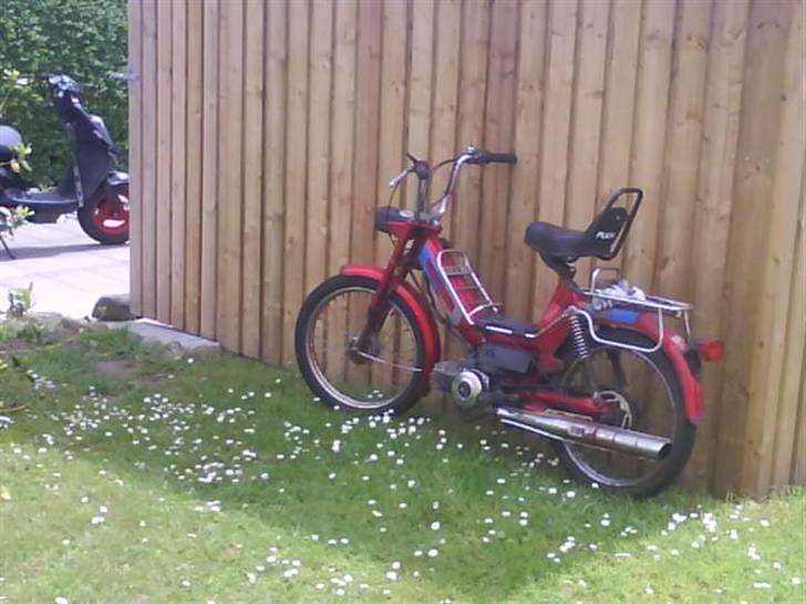 Puch maxi kl billede 12