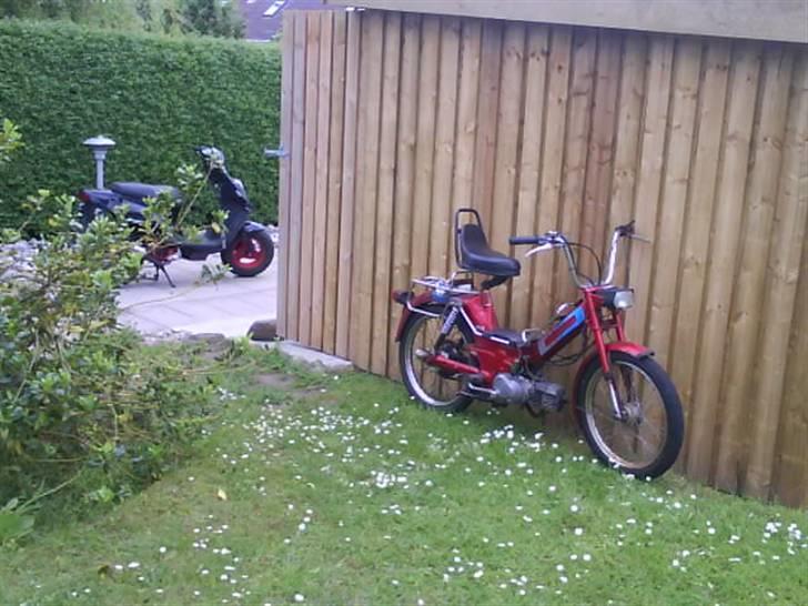 Puch maxi kl - Sammen med storebror i baggrunden billede 14