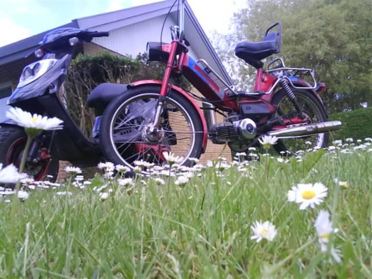Puch maxi kl billede 18