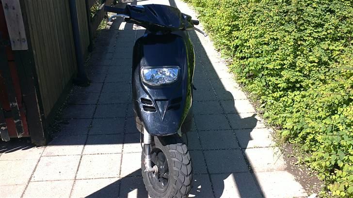 Piaggio typhoon (solgt) billede 1