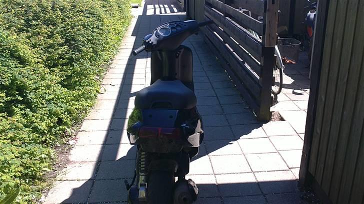 Piaggio typhoon (solgt) billede 5