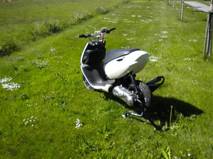 Aprilia Sonic Pro Race BYTTET billede 4