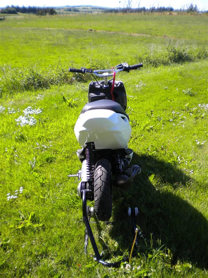 Aprilia Sonic Pro Race BYTTET billede 5