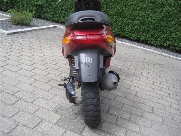 Piaggio Typhoon SOLGT... billede 6