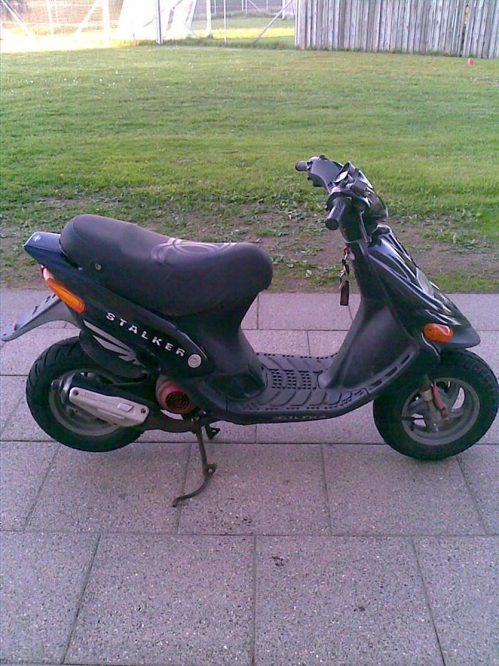Gilera stalker solgt billede 6