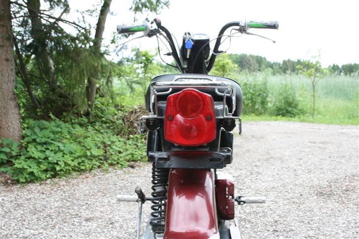 Suzuki fz50 billede 5