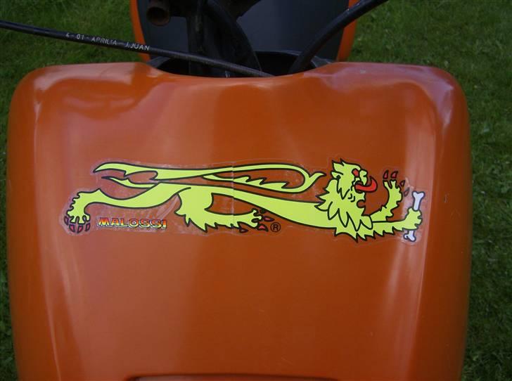 Aprilia Rally The Lion (BYTTET) - The lion.. ;-) billede 12