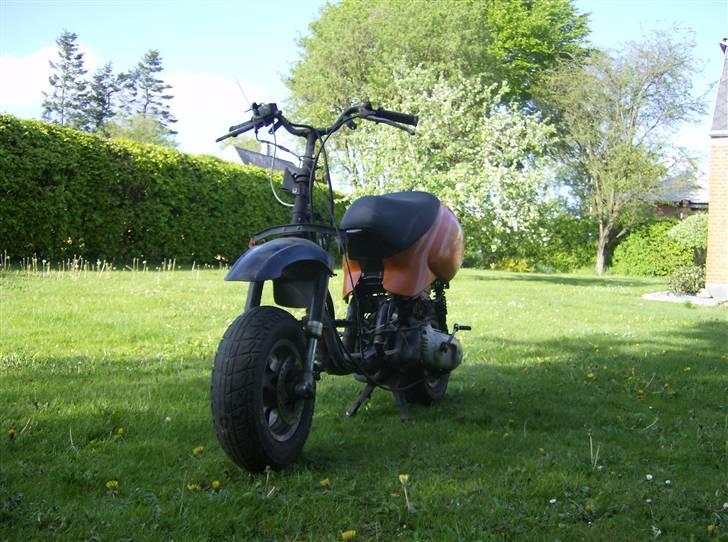 Aprilia Rally The Lion (BYTTET) - FØR... billede 16