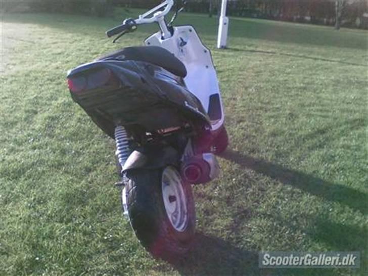 PGO Hot 50 billede 12