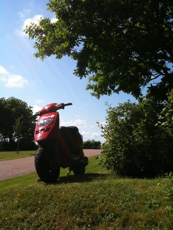 Piaggio Typhoon  billede 9