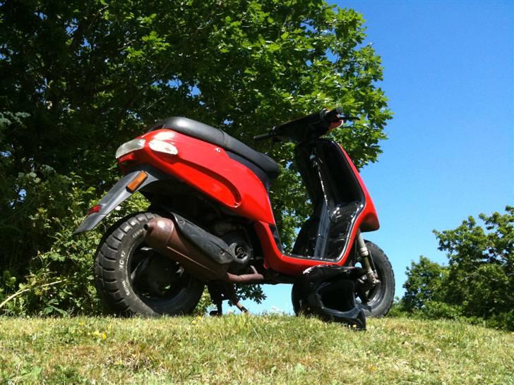 Piaggio Typhoon  billede 13