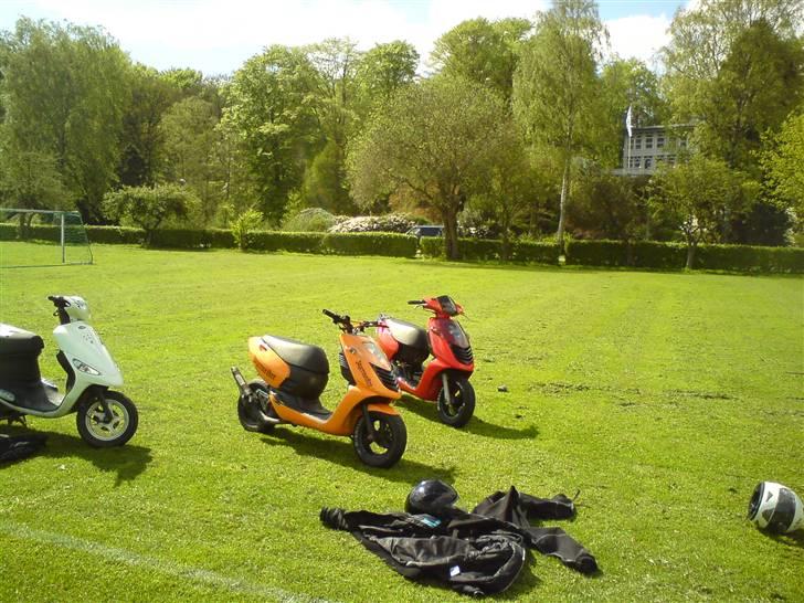 Aprilia sonic solgt billede 13