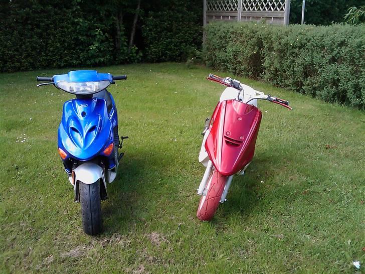 Adly arriva projekt billede 1