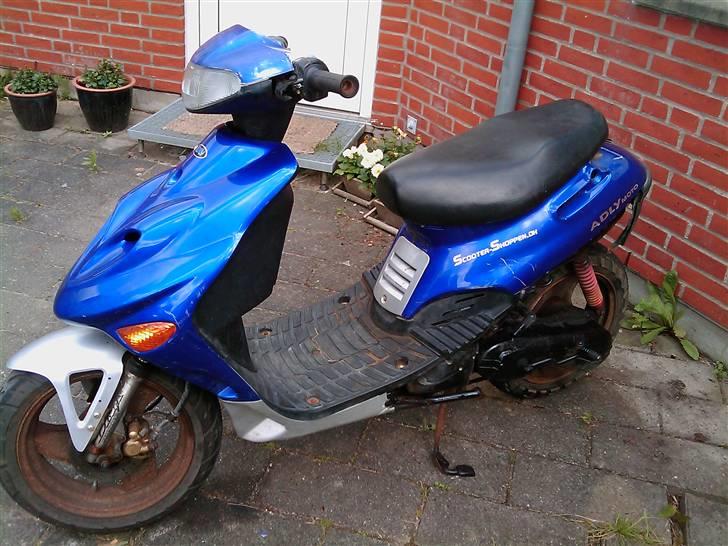 Adly arriva projekt billede 2