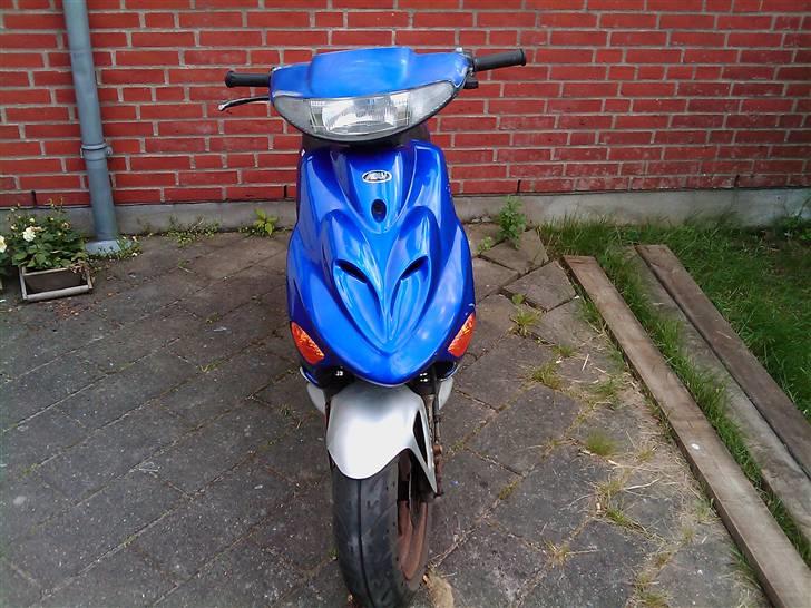 Adly arriva projekt billede 3