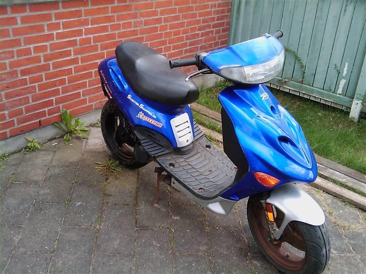 Adly arriva projekt billede 4