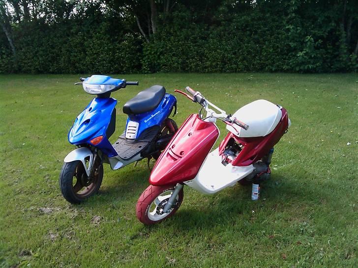 Adly arriva projekt billede 6