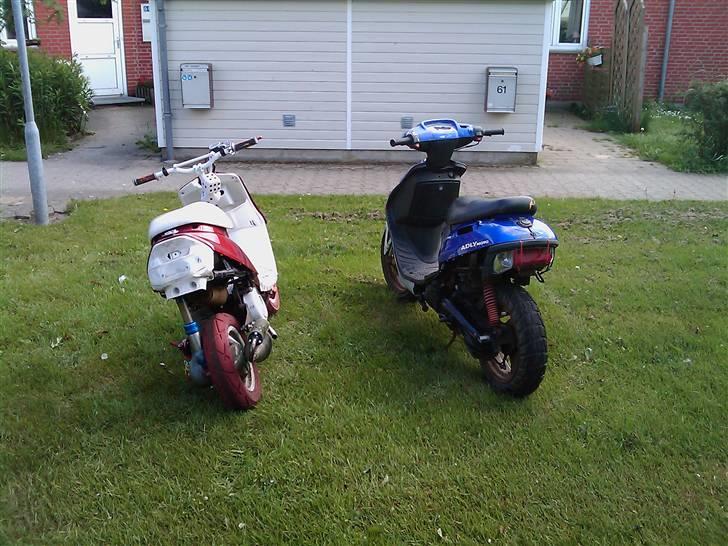 Adly arriva projekt billede 7