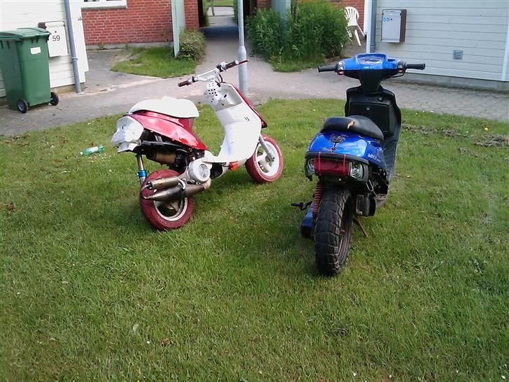 Adly arriva projekt billede 8