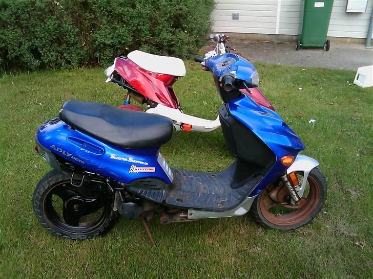 Adly arriva projekt billede 9