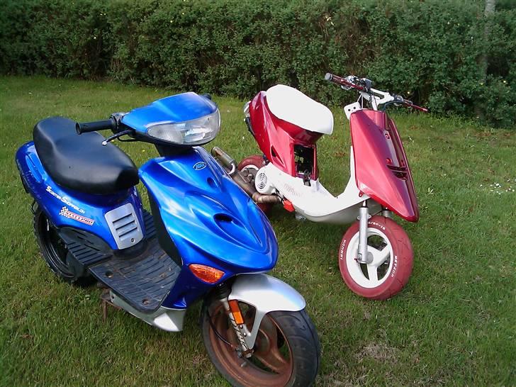 Adly arriva projekt billede 10