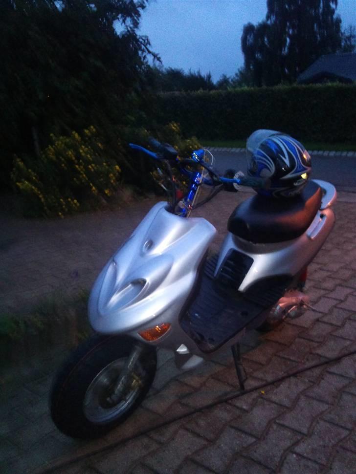 Adly Silverfox ( Tilsalg) billede 1