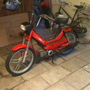 Puch  Maxi P1