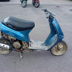 Piaggio old zip byttede