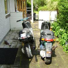 Piaggio Typhoon PROJEKT til salg