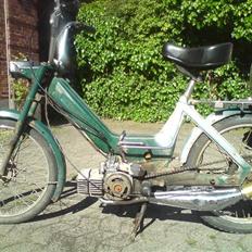 Puch maxi k : GRÆSHOPPEN: