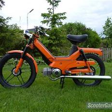 Puch Maxi P1
