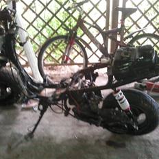 PGO hot 50 lc banejern