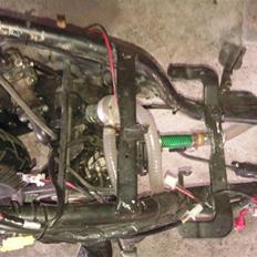 PGO hot 50 lc banejern