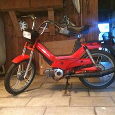 Puch  Maxi P1