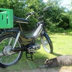 Puch Maxi 2 Gear *Orginal*