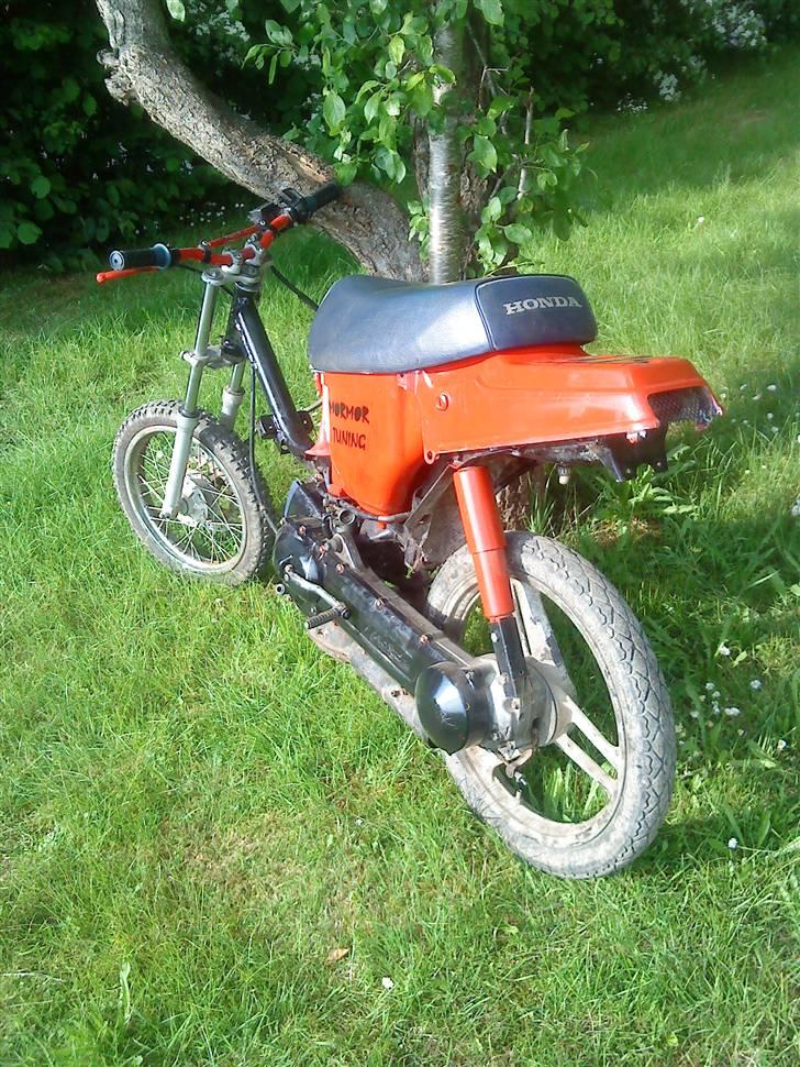 Honda wallaroo billede 1