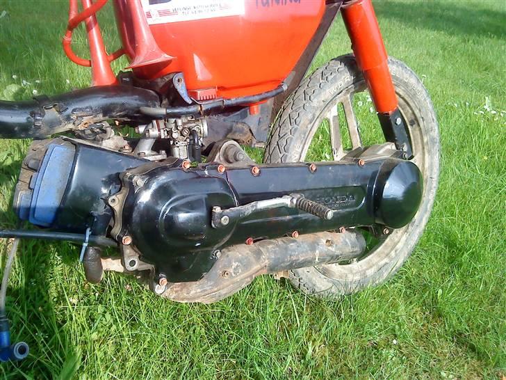 Honda wallaroo billede 3