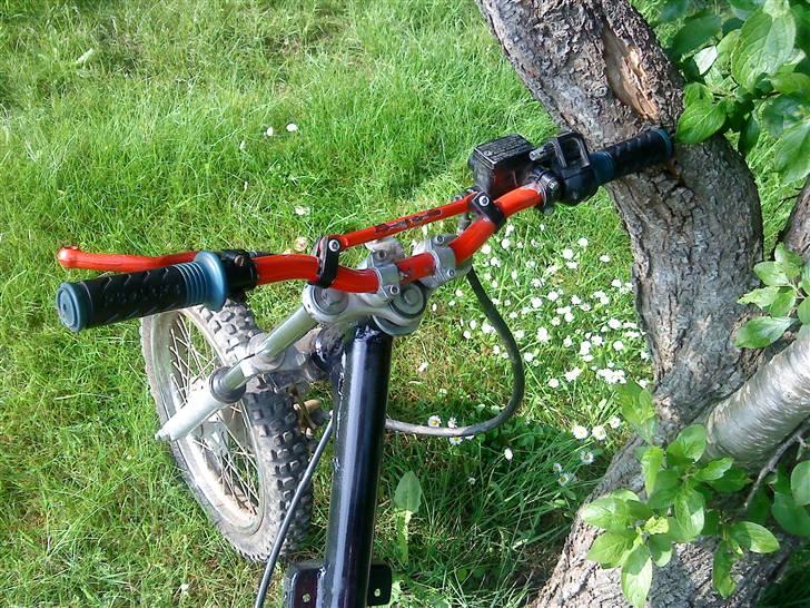 Honda wallaroo billede 5