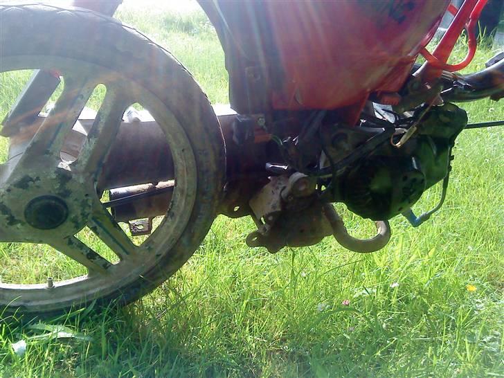 Honda wallaroo billede 6