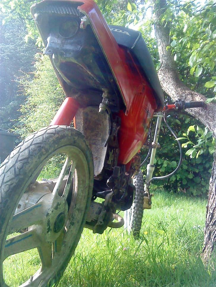 Honda wallaroo billede 10