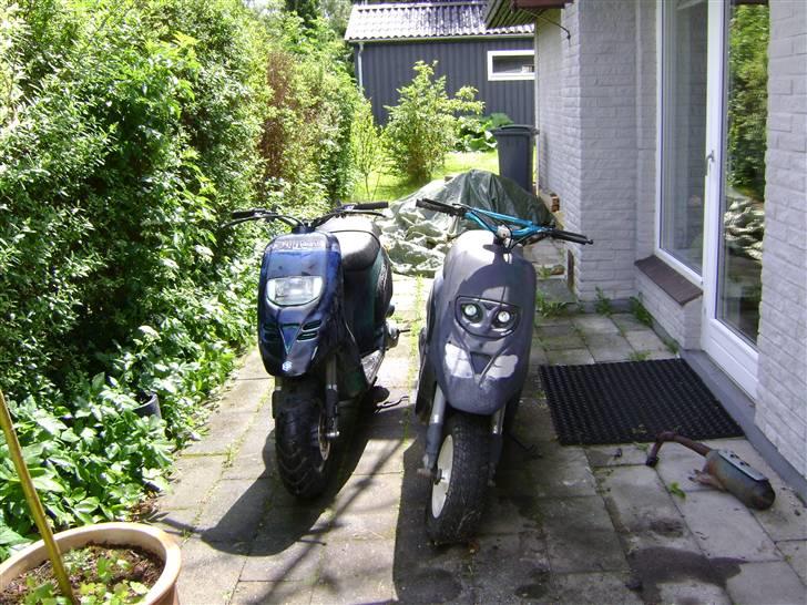 Piaggio Typhoon PROJEKT til salg billede 1