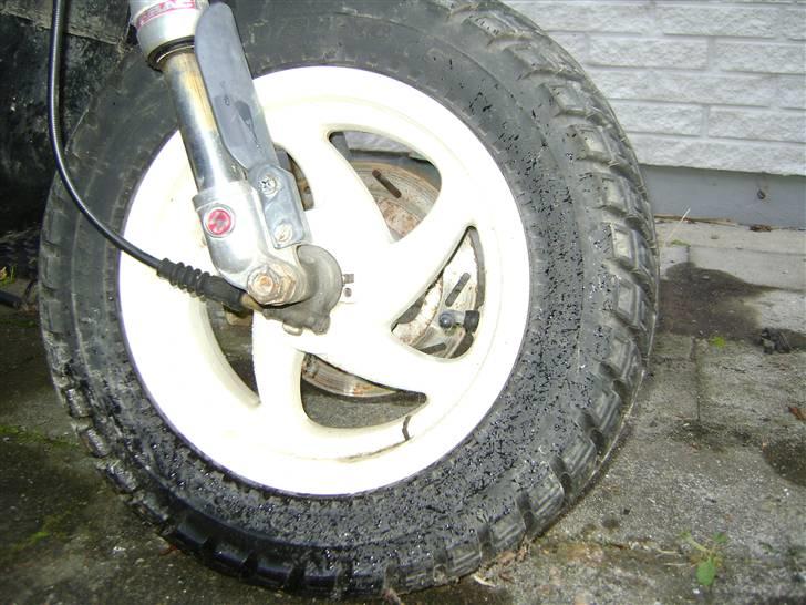 Piaggio Typhoon PROJEKT til salg billede 4