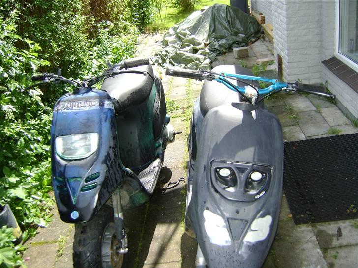 Piaggio Typhoon PROJEKT til salg billede 5