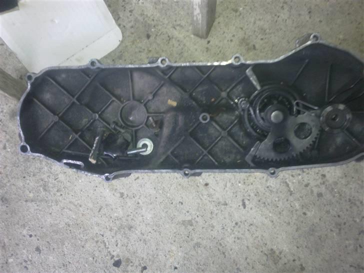 PGO hot...( nakket) billede 6