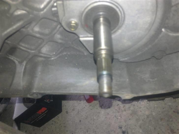 PGO hot...( nakket) billede 7