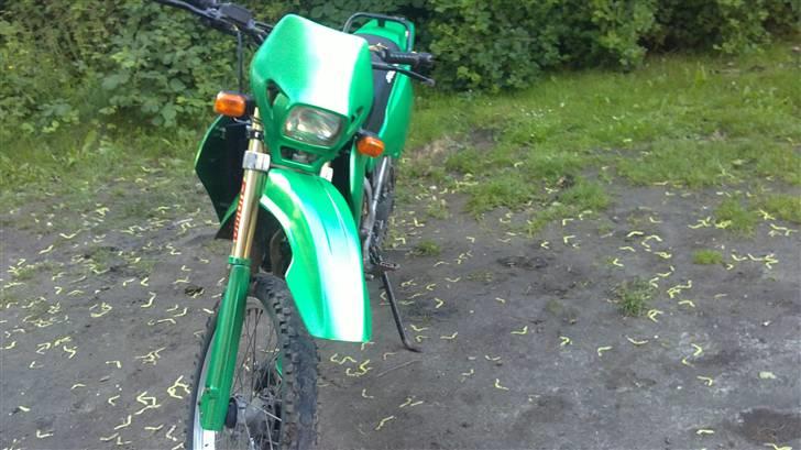 Suzuki Rmx billede 5