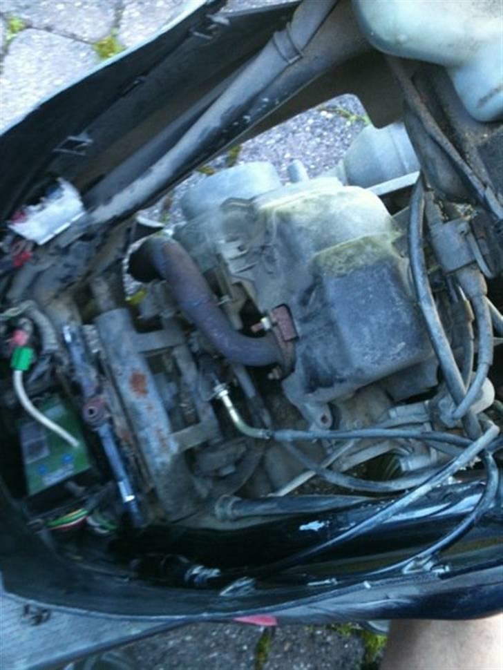 Honda Solgt! - inden den blev støvet af :) billede 8