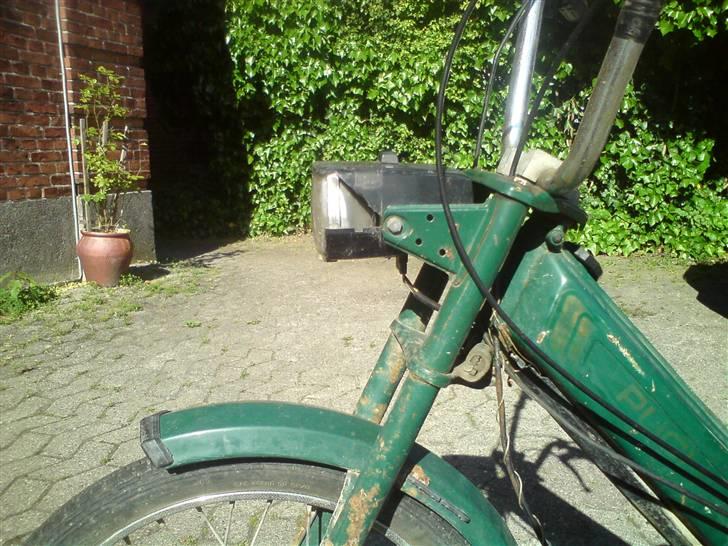 Puch maxi k : GRÆSHOPPEN: billede 2