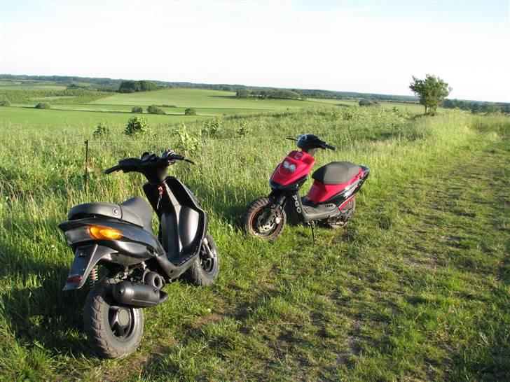 PGO Hot 50 [FØR] *byttet* billede 3