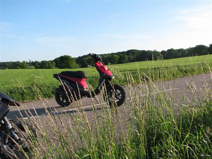 PGO Hot 50 [FØR] *byttet* billede 5